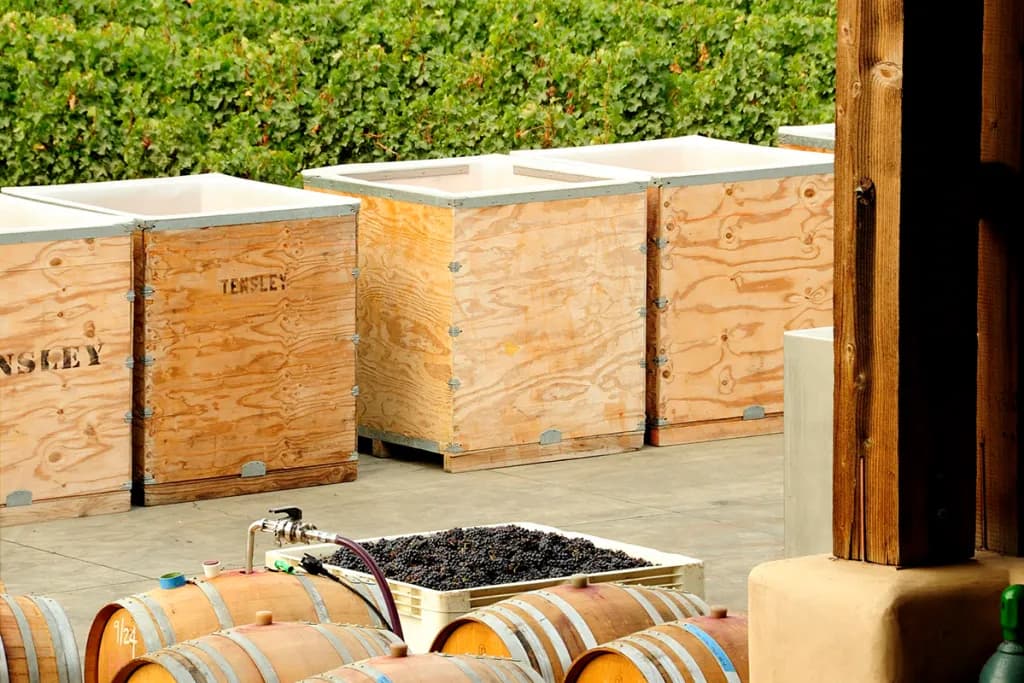 Wine Club Experience